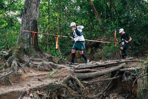 BIB: 
                            <button type="button" onclick="openModal(27724164)" class="btn btn-primary btn-sm float-right btn-popup" data-toggle="modal" data-target=".modal-high-quality">
                        <i class="fas fa-shopping-cart"></i> Add to Cart
                    </button>
                                            <button type="button" onclick="isThisMe(27724164, true)" class="btn btn-success btn-sm float-right btn-popup btn-isme hidden" data-toggle="tooltip" data-placement="bottom" title="นี่คือรูปของคุณใช่ไหม คลิกที่นี่เพื่อเอาเข้าอัลบั้ม">
                        <i class="fas fa-plus"></i> Add to album
                    </button>
                    <button type="button" onclick="isThisMe(27724164, false)" class="btn btn-warning btn-sm float-right btn-popup btn-isnotme hidden">
                        <i class="fas fa-ban"></i> Remove from album
                    </button>